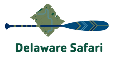 Delaware Safari icon of a green map and blue paddle
